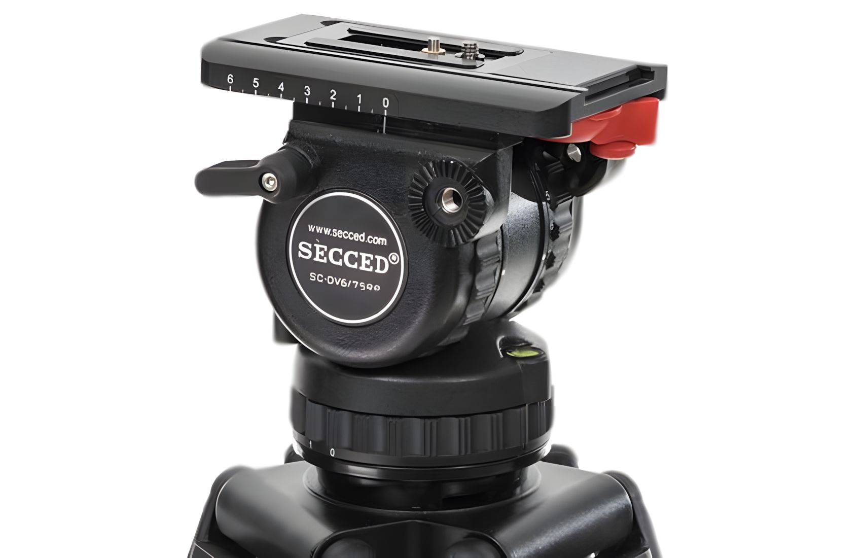 Reach Plus1 CF